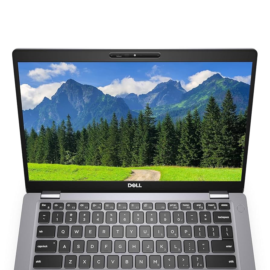 Amazon.com: Dell Latitude 5411 14
